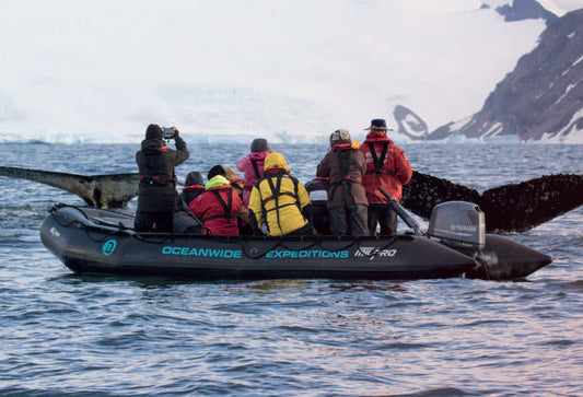 Z80483 - Zodiac MilPro MK5 HD - Schwerlast-Arbeitsboot