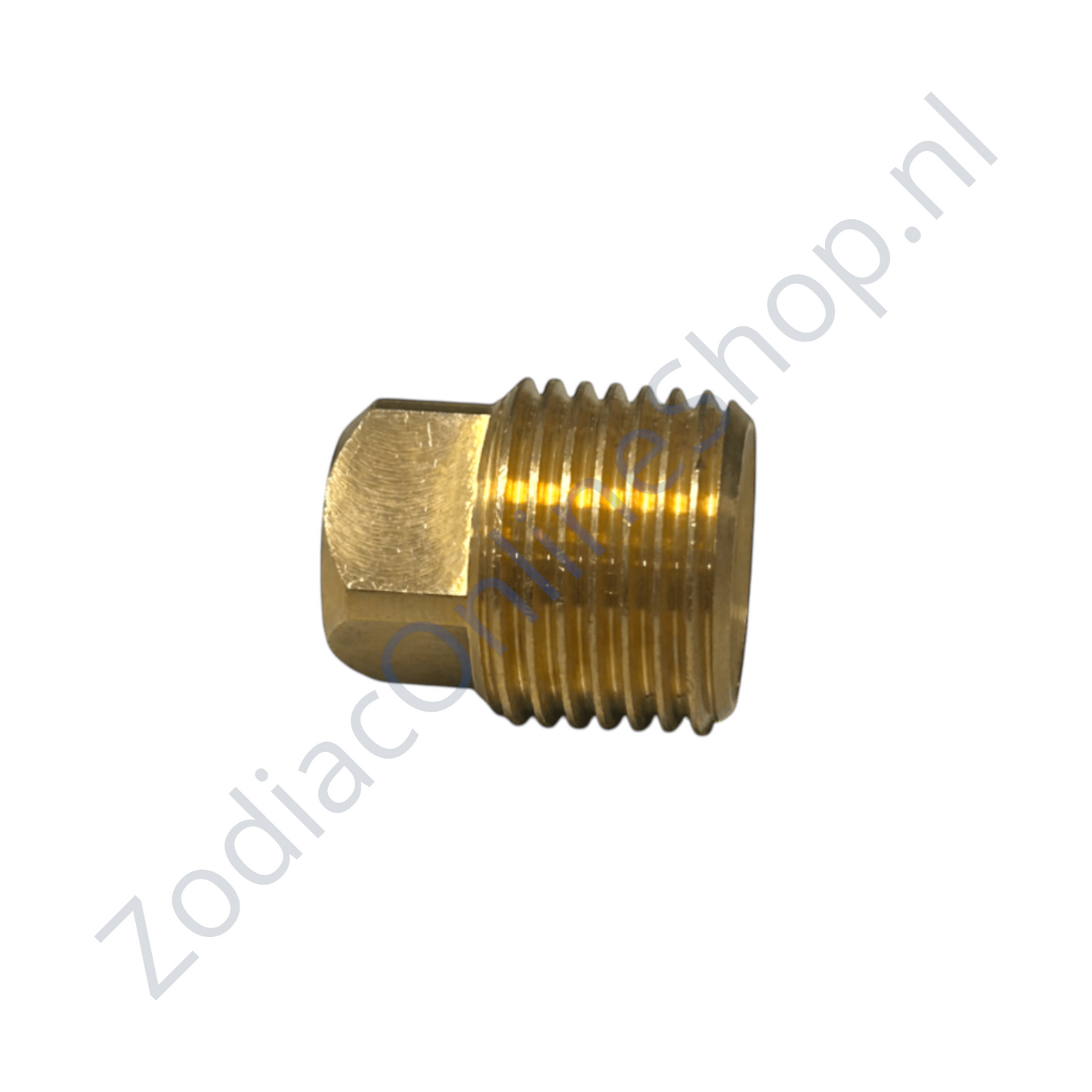 Z2738 Plug voor stop dubbele bodem RIB